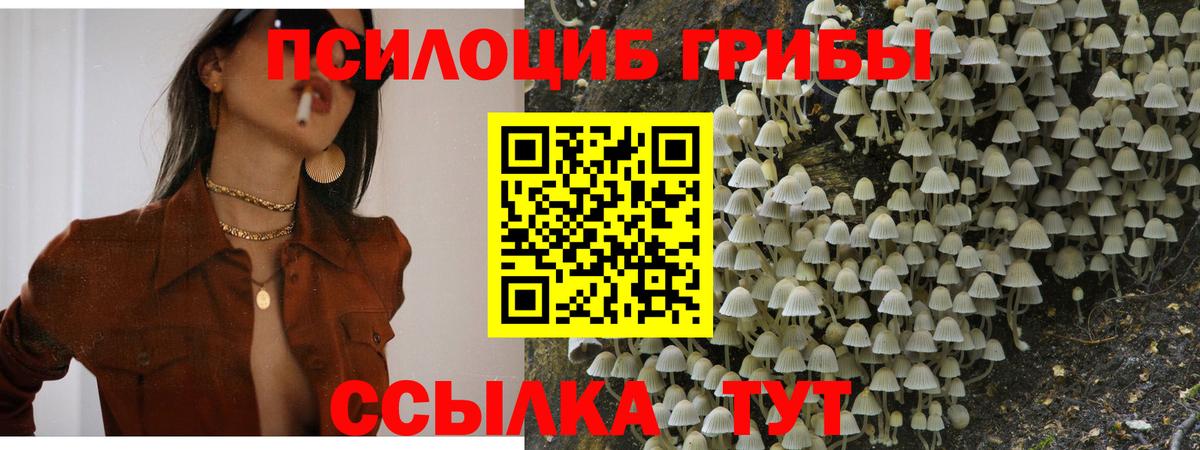 Артём  Галлюциногенные грибы GOLDEN TEACHER  Вход с VPN 