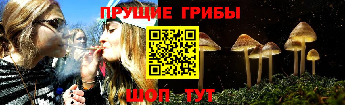 Псилоцибиновые грибы MAGIC MUSHROOMS Артём
